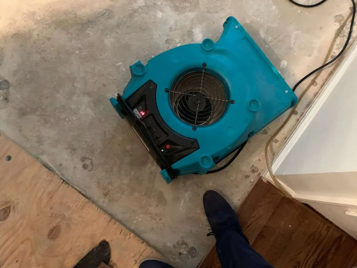 Air mover drying subfloor during Commercial Water Damage Restoration in Gilmer